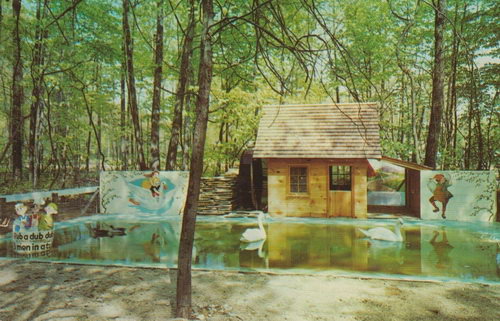 Deer Forest - Old Postcard (newer photo)